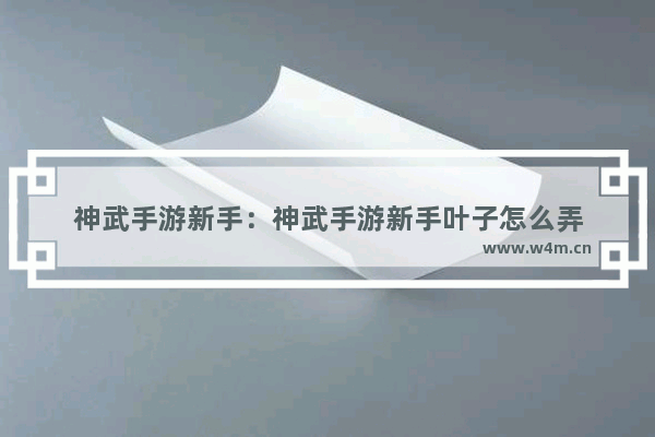 神武手游新手：神武手游新手叶子怎么弄