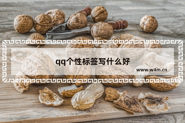 qq个性标签写什么好