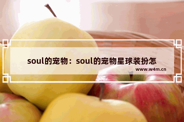 soul的宠物：soul的宠物星球装扮怎么弄好看