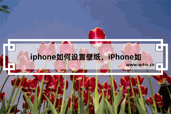 iphone如何设置壁纸，iPhone如何设置壁纸轮播