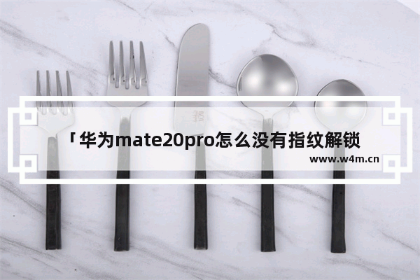 「华为mate20pro怎么没有指纹解锁」(华为mate20pro怎么没有指纹解锁呢?)