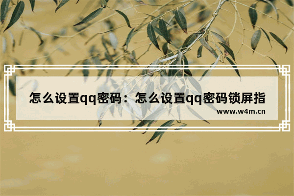 怎么设置qq密码：怎么设置qq密码锁屏指纹