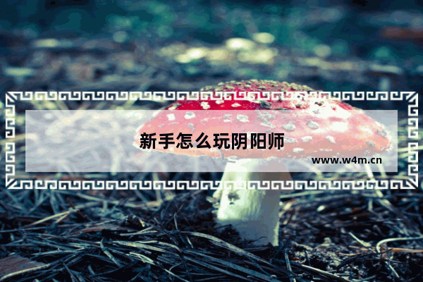 新手怎么玩阴阳师