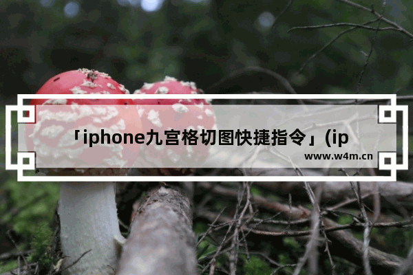 「iphone九宫格切图快捷指令」(iphone九宫格切图快捷指令库)