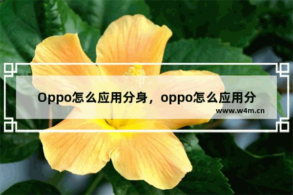 Oppo怎么应用分身，oppo怎么应用分身光遇