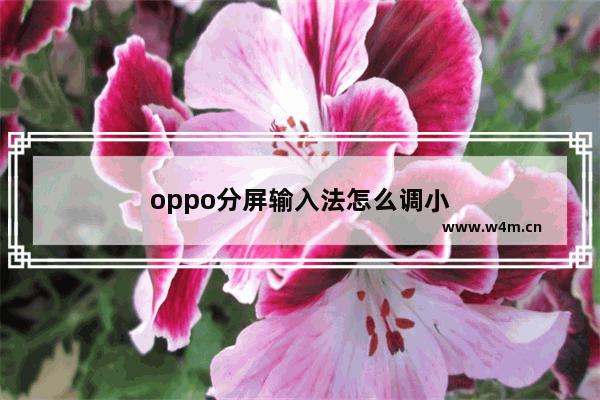 oppo分屏输入法怎么调小