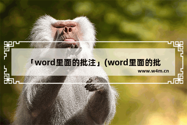 「word里面的批注」(word里面的批注怎么删除掉)