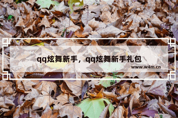 qq炫舞新手，qq炫舞新手礼包