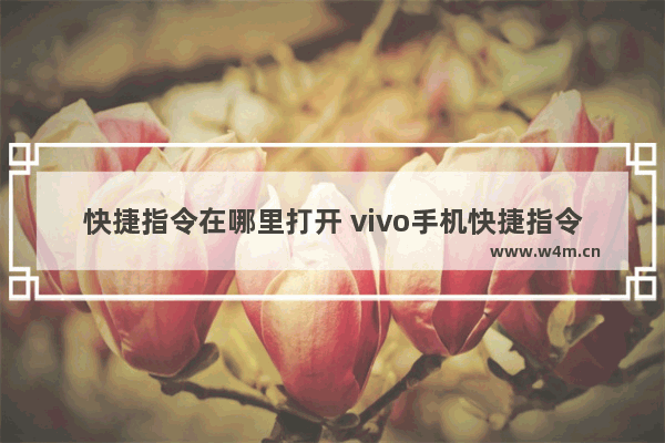 快捷指令在哪里打开 vivo手机快捷指令在哪里打开