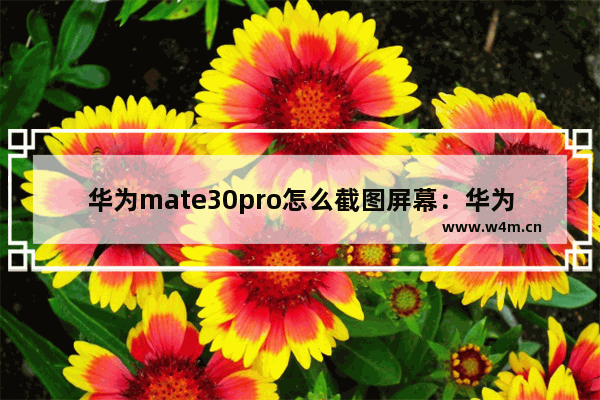 华为mate30pro怎么截图屏幕：华为mate30pro怎么截图屏幕清宫后可以吃麒麟丸吗