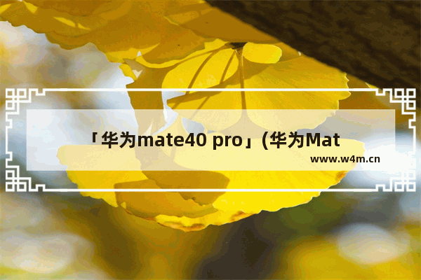 「华为mate40 pro」(华为Mate40 Pro壁纸)