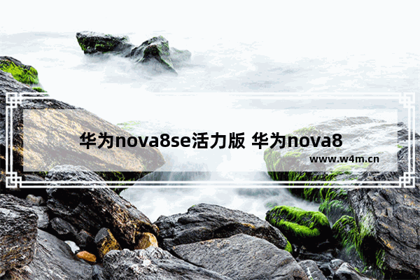 华为nova8se活力版 华为nova8se和华为nova8se活力版哪个好