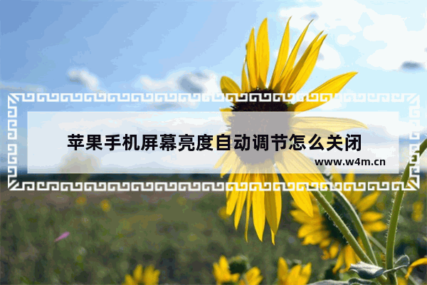 苹果手机屏幕亮度自动调节怎么关闭