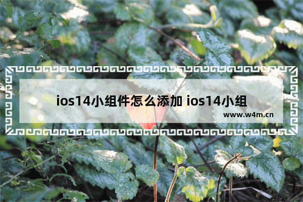 ios14小组件怎么添加 ios14小组件怎么添加照片教程