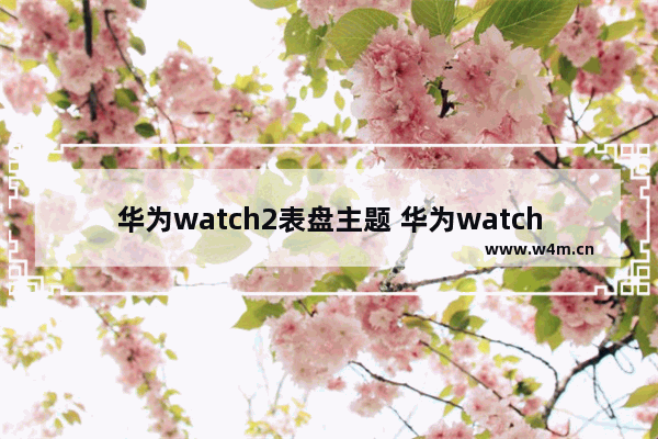 华为watch2表盘主题 华为watch2表盘主题说明