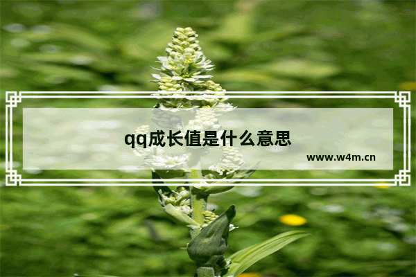 qq成长值是什么意思