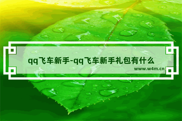 qq飞车新手-qq飞车新手礼包有什么