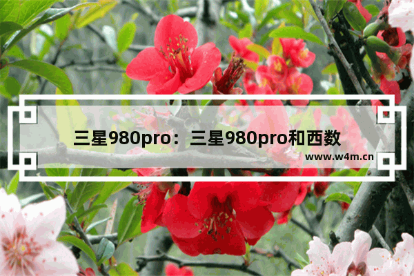 三星980pro：三星980pro和西数sn850怎么选