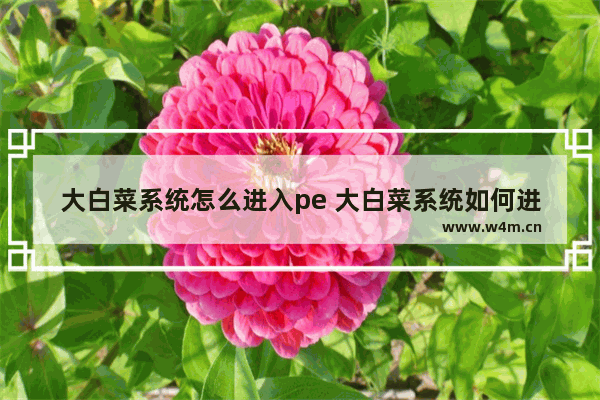 大白菜系统怎么进入pe 大白菜系统如何进入PE