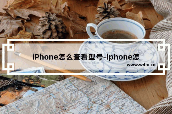 iPhone怎么查看型号-iphone怎么查看型号网通