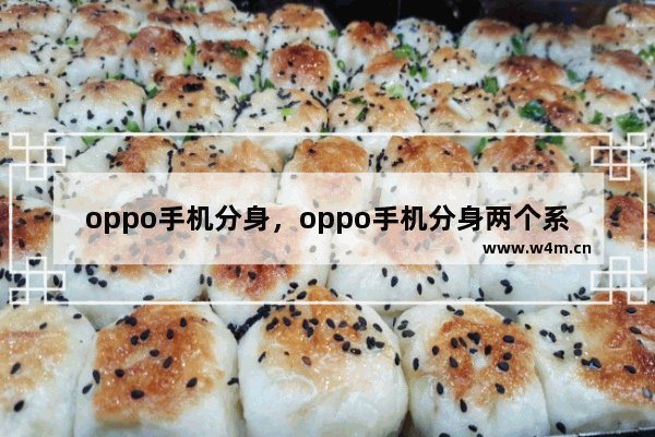 oppo手机分身，oppo手机分身两个系统怎么换