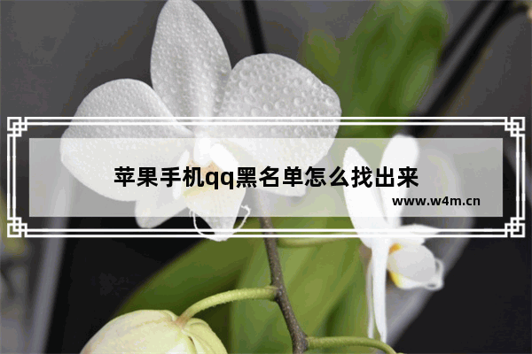 苹果手机qq黑名单怎么找出来