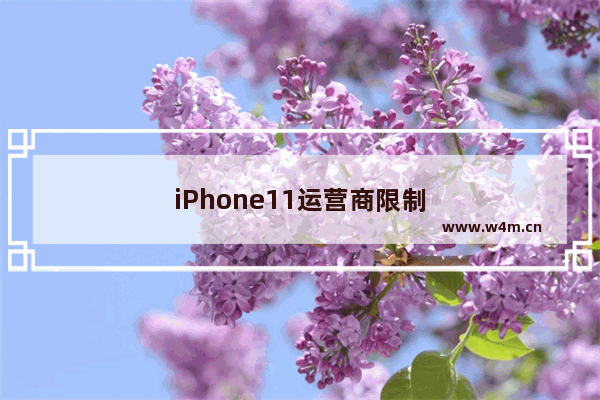 iPhone11运营商限制