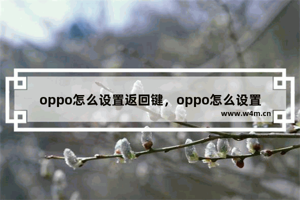 oppo怎么设置返回键，oppo怎么设置返回键在屏幕上