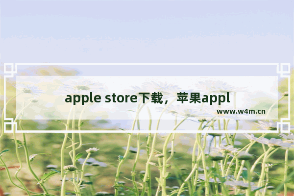 apple store下载，苹果apple store下载慢