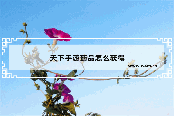 天下手游药品怎么获得