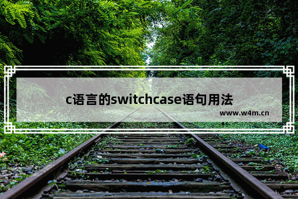 c语言的switchcase语句用法