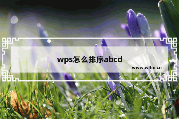 wps怎么排序abcd