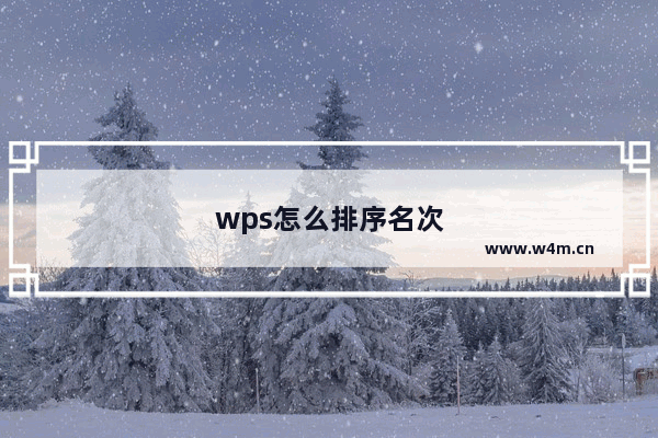 wps怎么排序名次