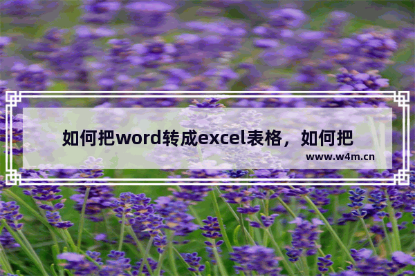 如何把word转成excel表格，如何把word转成excel表格不乱码