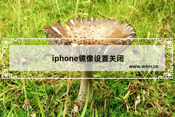 iphone镜像设置关闭