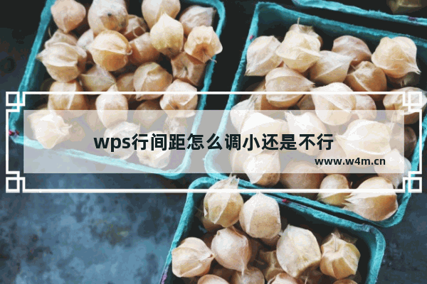 wps行间距怎么调小还是不行