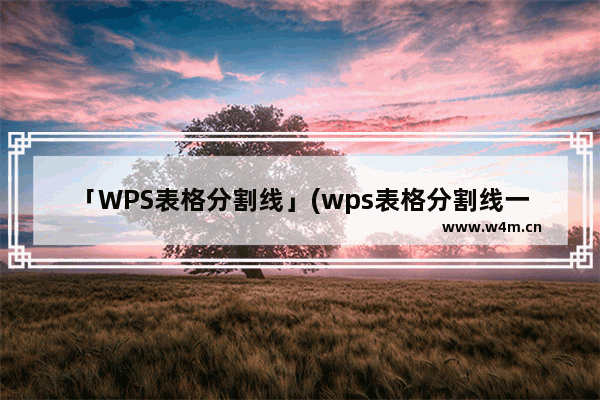 「WPS表格分割线」(wps表格分割线一分为二)