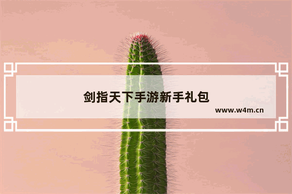 剑指天下手游新手礼包