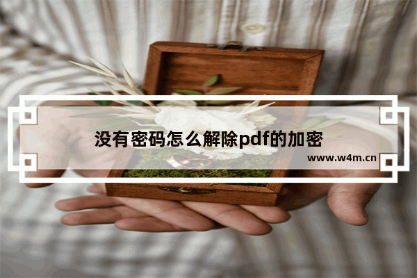 没有密码怎么解除pdf的加密