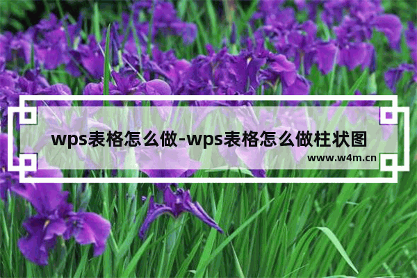 wps表格怎么做-wps表格怎么做柱状图表