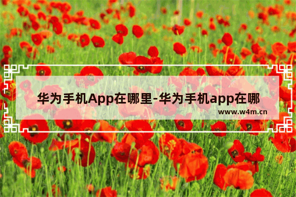 华为手机App在哪里-华为手机app在哪里关抖音位置