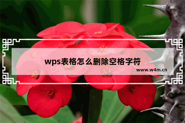 wps表格怎么删除空格字符