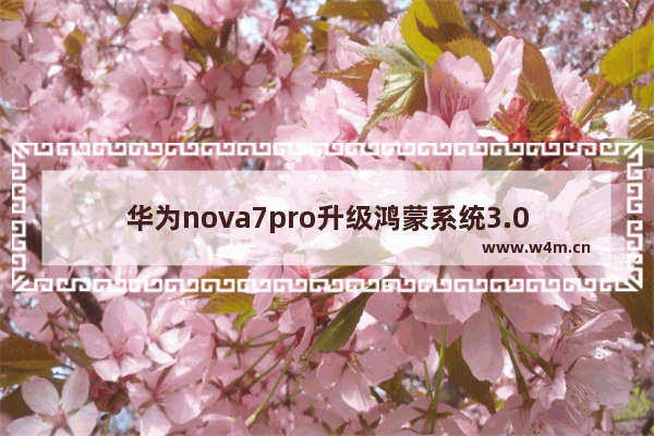 华为nova7pro升级鸿蒙系统3.0