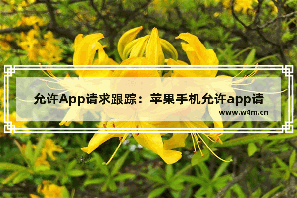 允许App请求跟踪：苹果手机允许app请求跟踪打不开