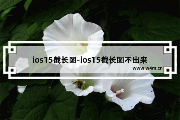 ios15截长图-ios15截长图不出来整页