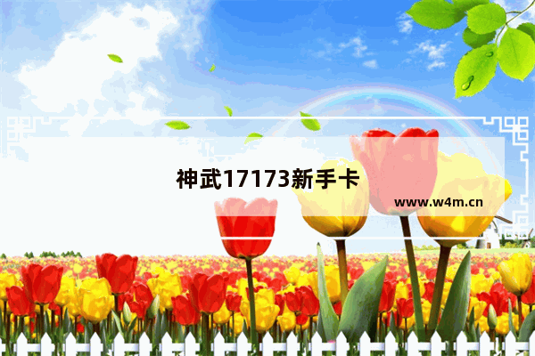 神武17173新手卡