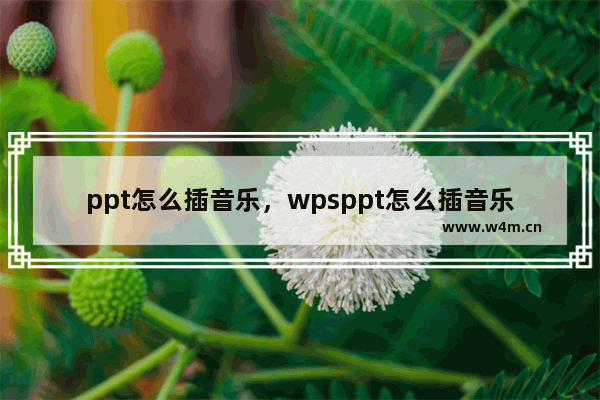 ppt怎么插音乐，wpsppt怎么插音乐上去