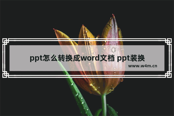 ppt怎么转换成word文档 ppt装换成word文档的方法