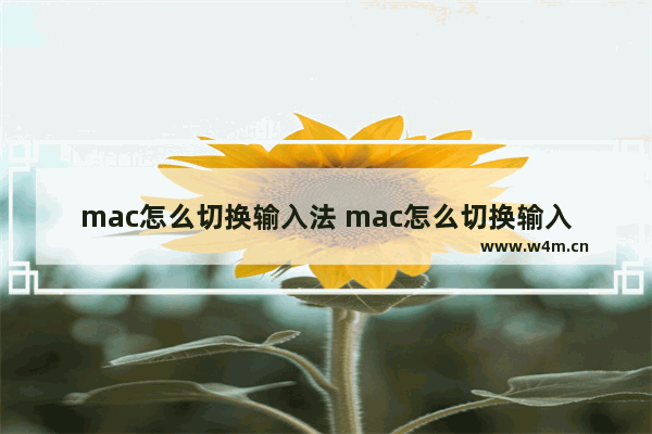 mac怎么切换输入法 mac怎么切换输入法快捷键