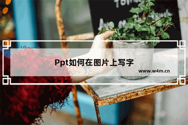 Ppt如何在图片上写字